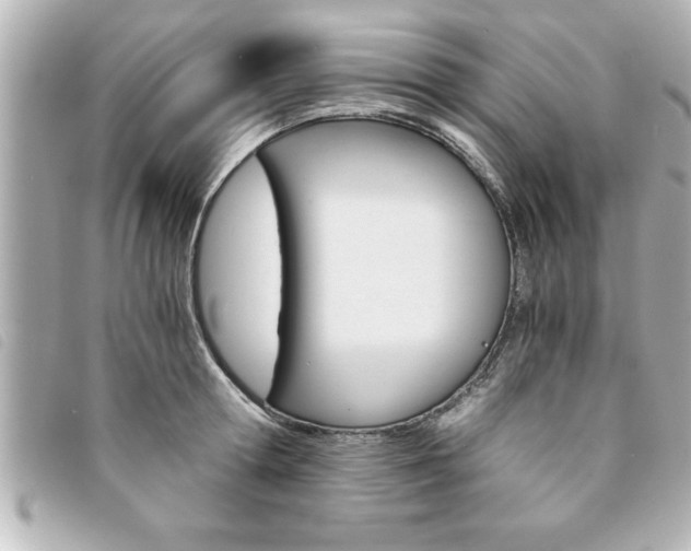 X0000094200802200710260911