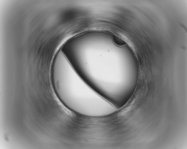 X0000094200803200710260911
