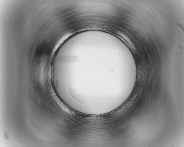 X0000094200804200710260911
