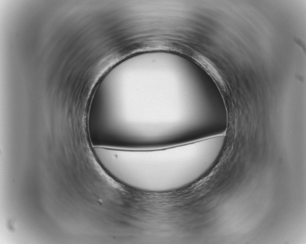 X0000094200805200710260911