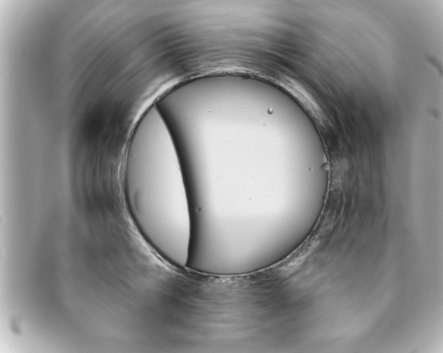 X0000094200806200710260911