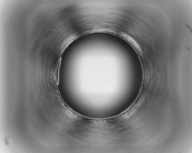X0000094200809200710260911