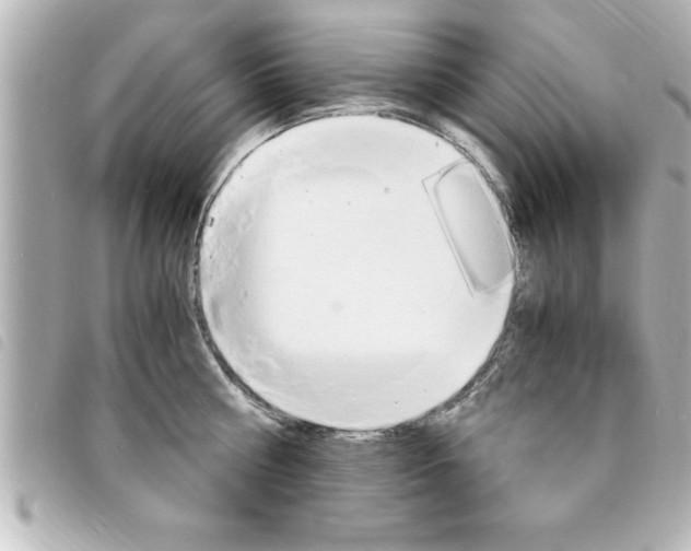 X0000094200810200710260911
