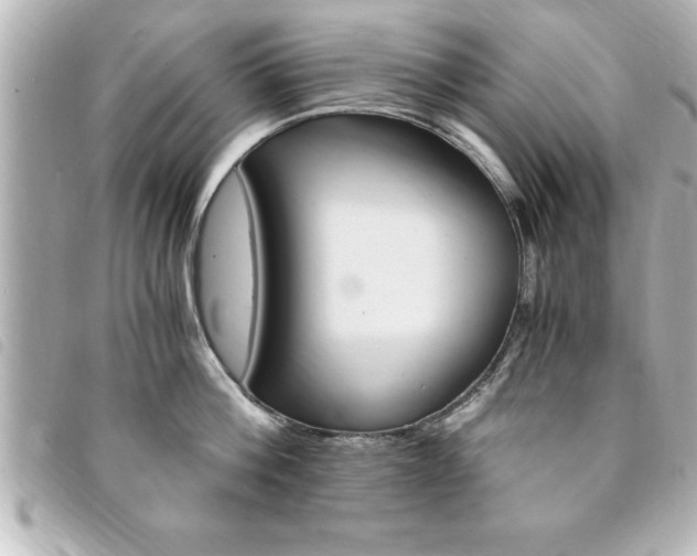 X0000094200812200710260911