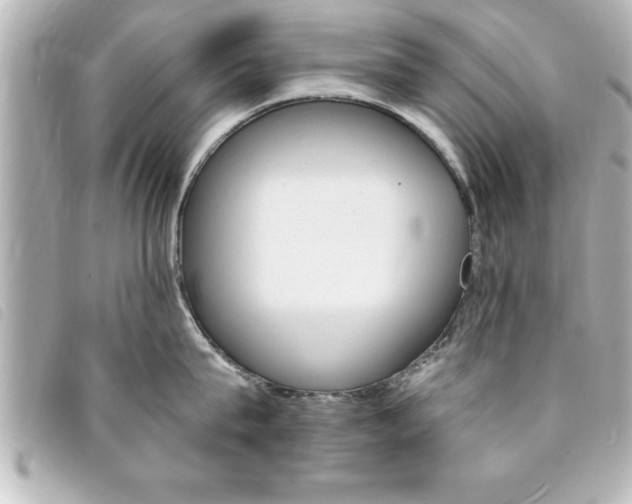 X0000094200815200710260911