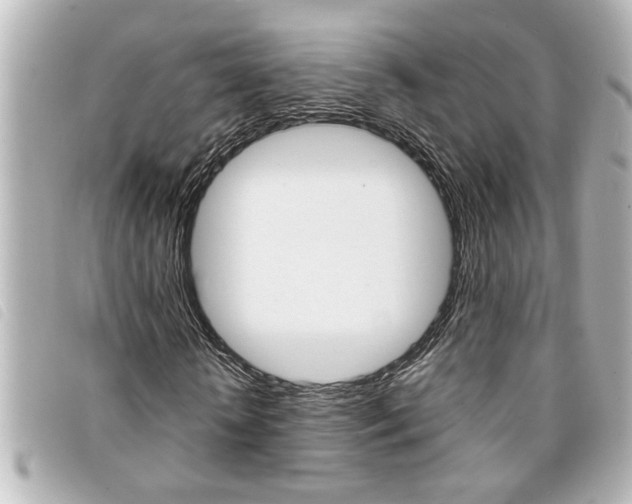 X0000094200818200710260911