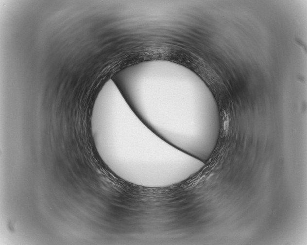 X0000094200819200710260911