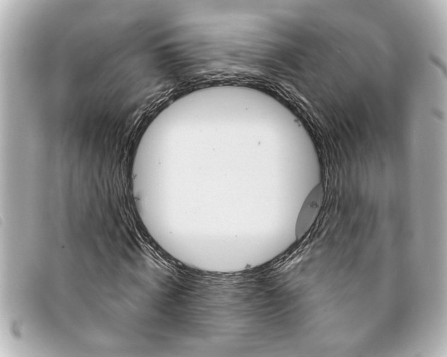 X0000094200820200710260911