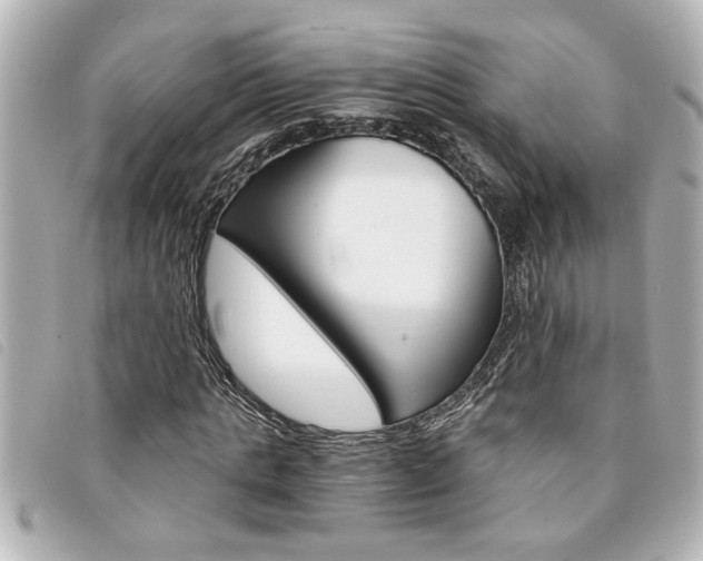 X0000094200821200710260911