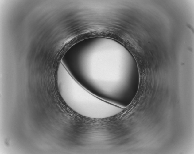 X0000094200822200710260911