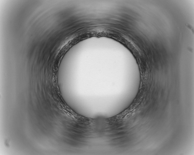 X0000094200823200710260911