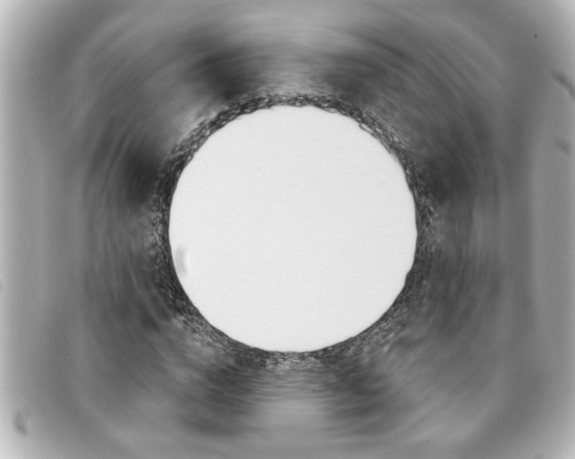 X0000094200824200710260911