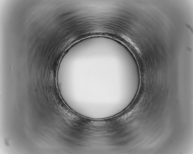 X0000094200825200710260911