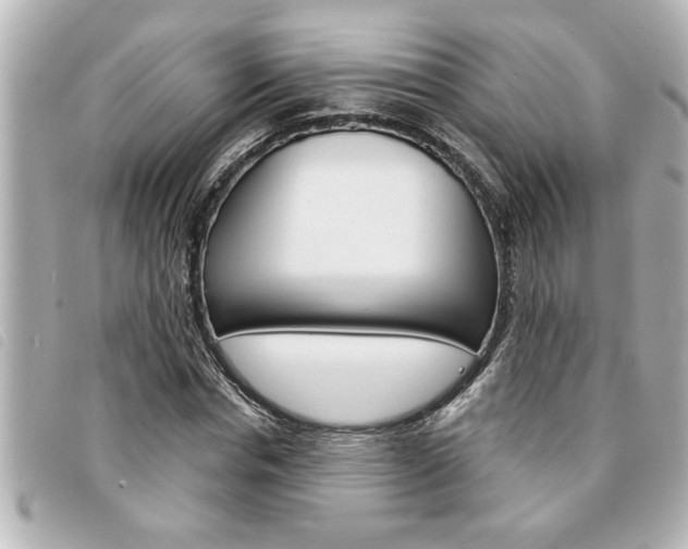 X0000094200826200710260911