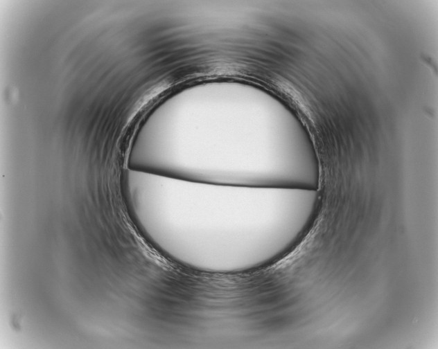 X0000094200827200710260911