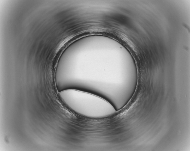 X0000094200829200710260911