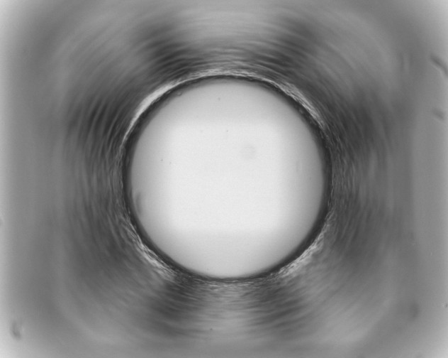 X0000094200830200710260911