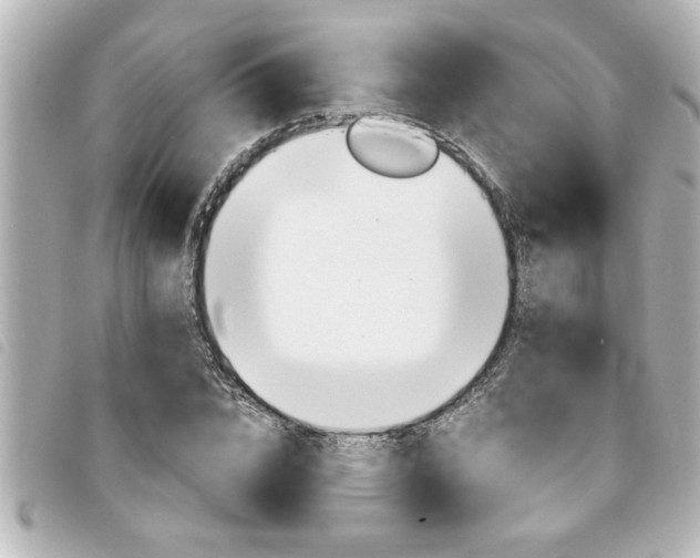 X0000094200832200710260911