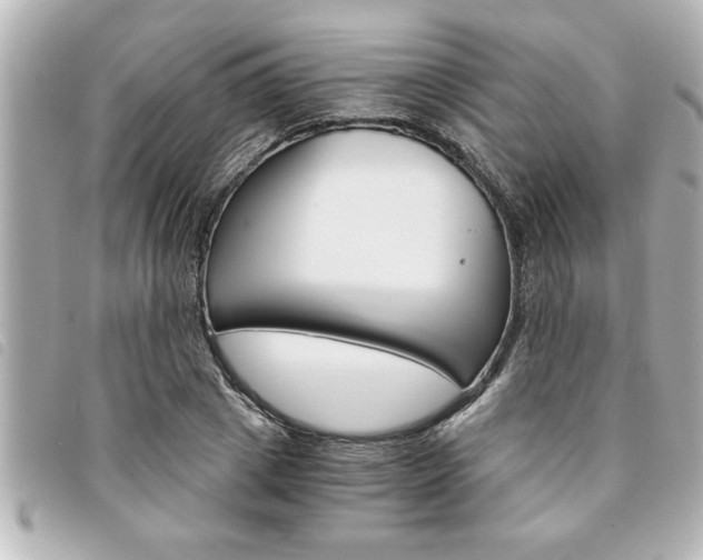 X0000094200833200710260911
