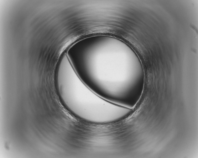 X0000094200834200710260911