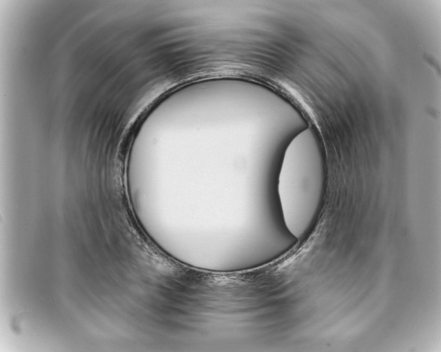 X0000094200835200710260911