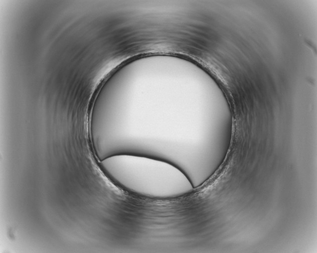 X0000094200839200710260911