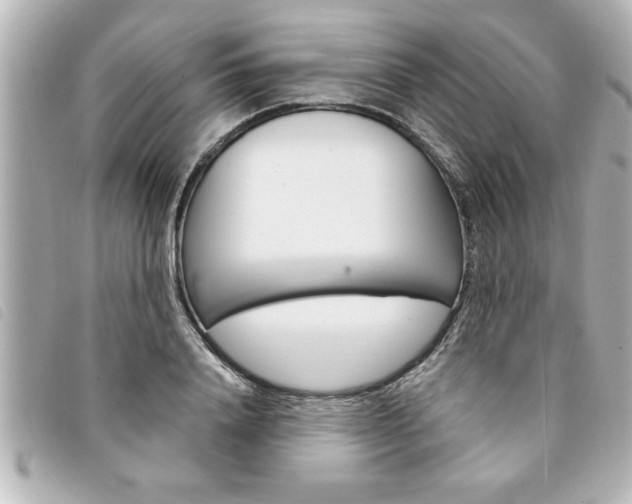 X0000094200840200710260911