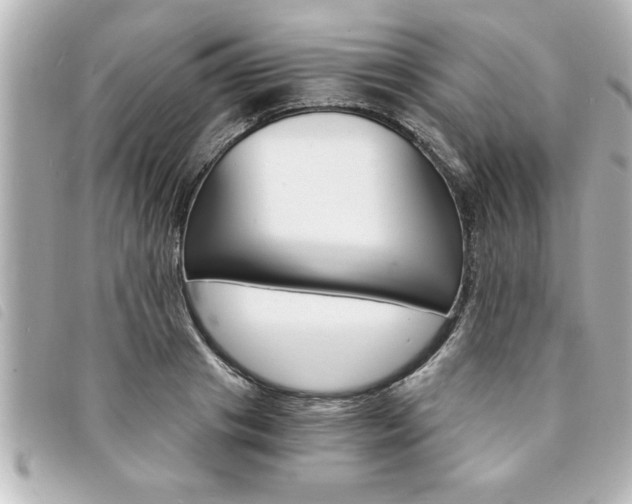 X0000094200841200710260911
