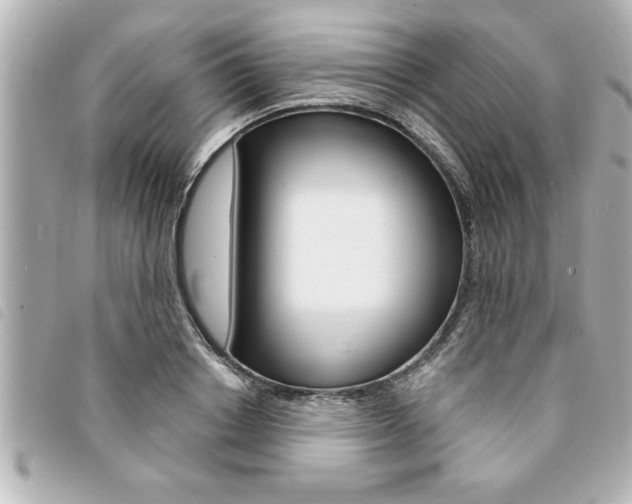 X0000094200842200710260911