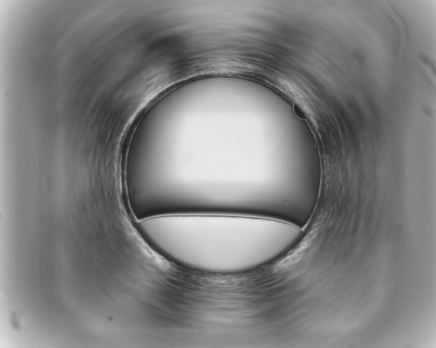 X0000094200843200710260911