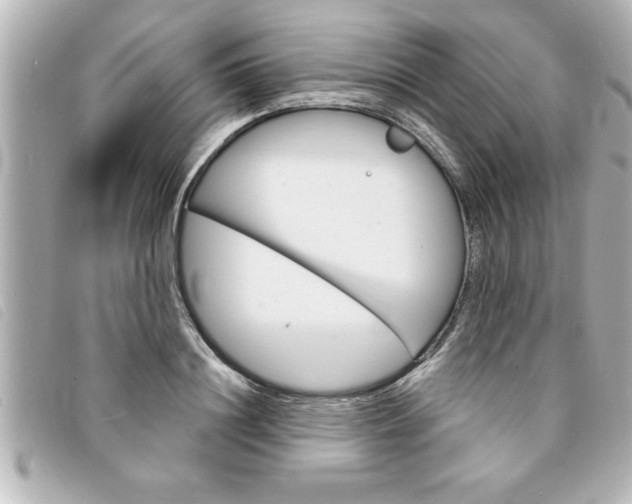 X0000094200844200710260911