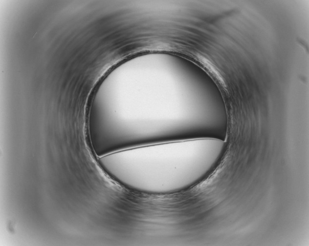 X0000094200845200710260911