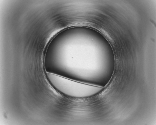 X0000094200846200710260911