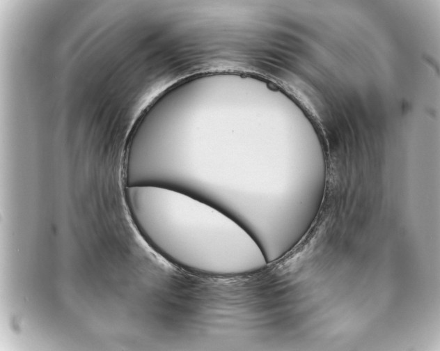 X0000094200847200710260911