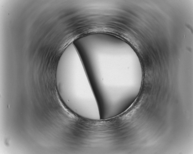 X0000094200849200710260911