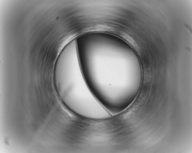 X0000094200850200710260911