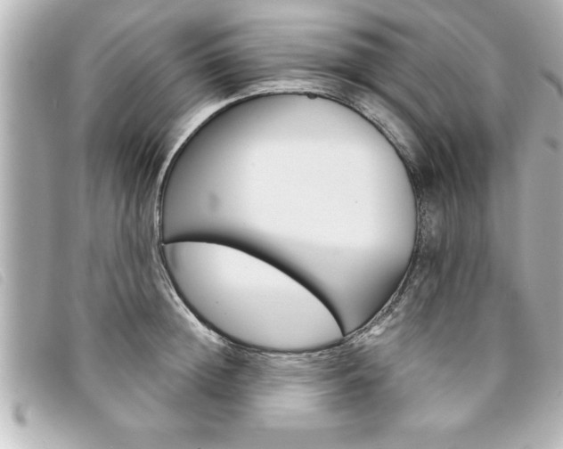 X0000094200852200710260911