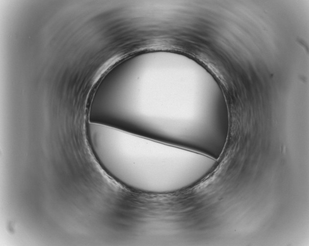 X0000094200853200710260911