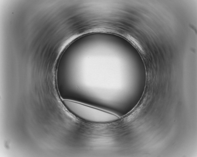 X0000094200854200710260911