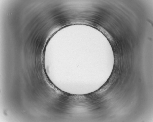 X0000094200856200710260911