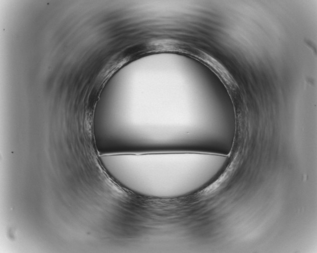 X0000094200857200710260911