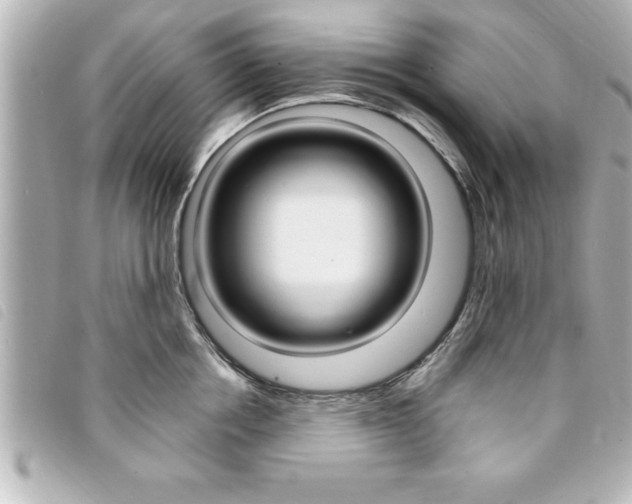 X0000094200858200710260911