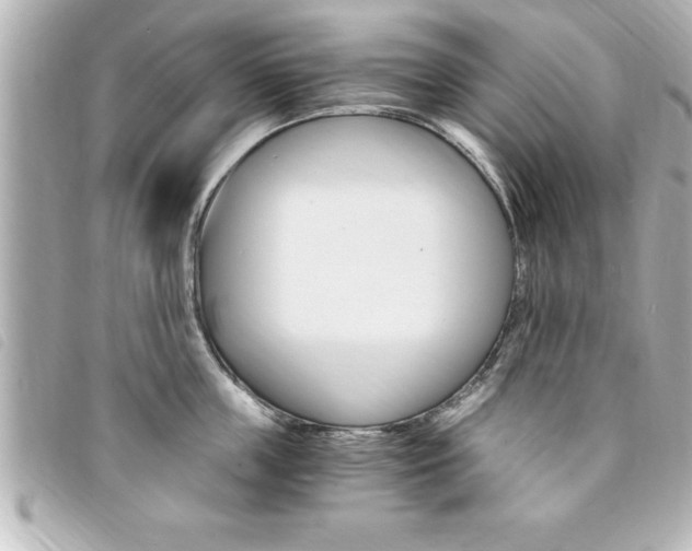X0000094200859200710260911