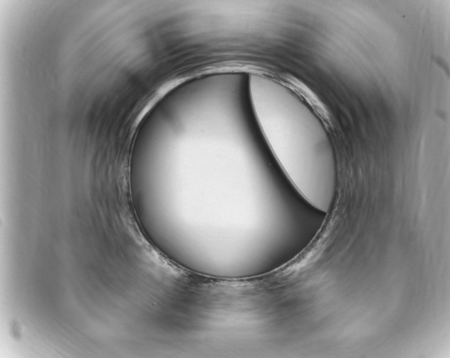X0000094200860200710260911