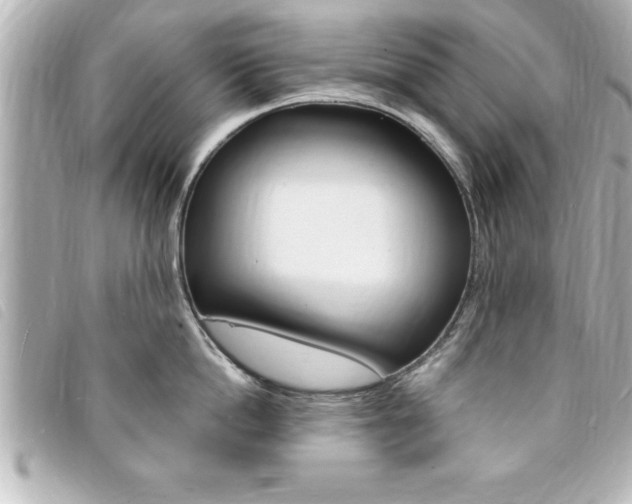 X0000094200862200710260911