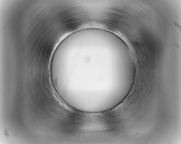 X0000094200864200710260911