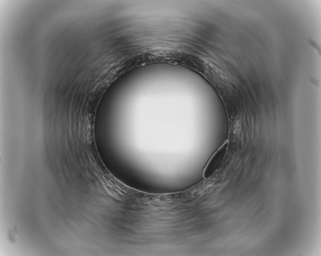 X0000094200868200710260910