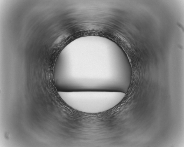 X0000094200869200710260910