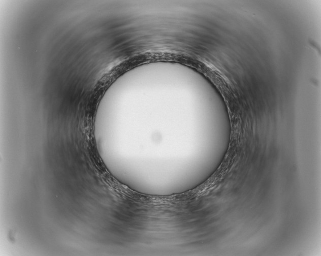 X0000094200870200710260910