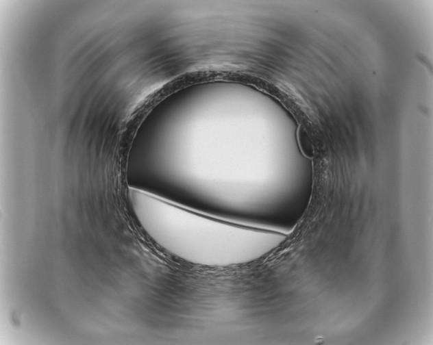 X0000094200872200710260910